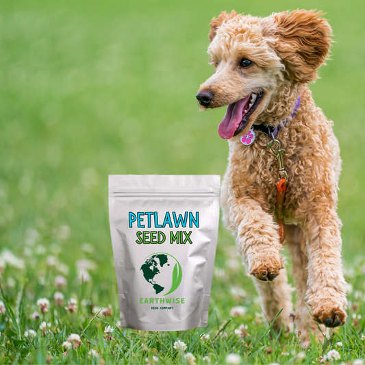 PetLawn Seed Mix