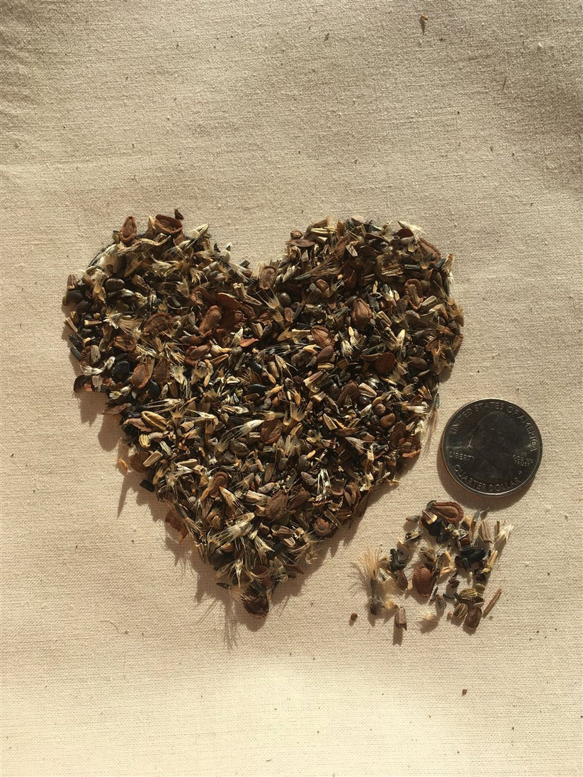 Pollinator Paradise Native Mix – Earthwise Seed