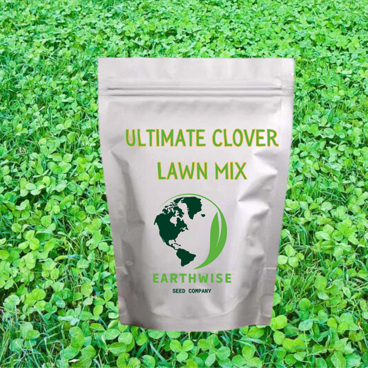 Ultimate Clover Lawn Mix: Low-Maintenance, Eco-Friendly Yard