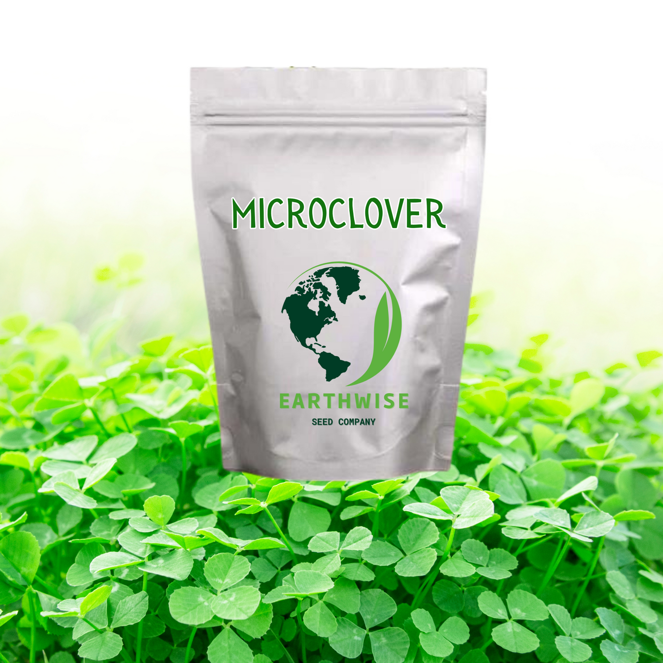 Microclover Alternative Lawn – Earthwise Seed