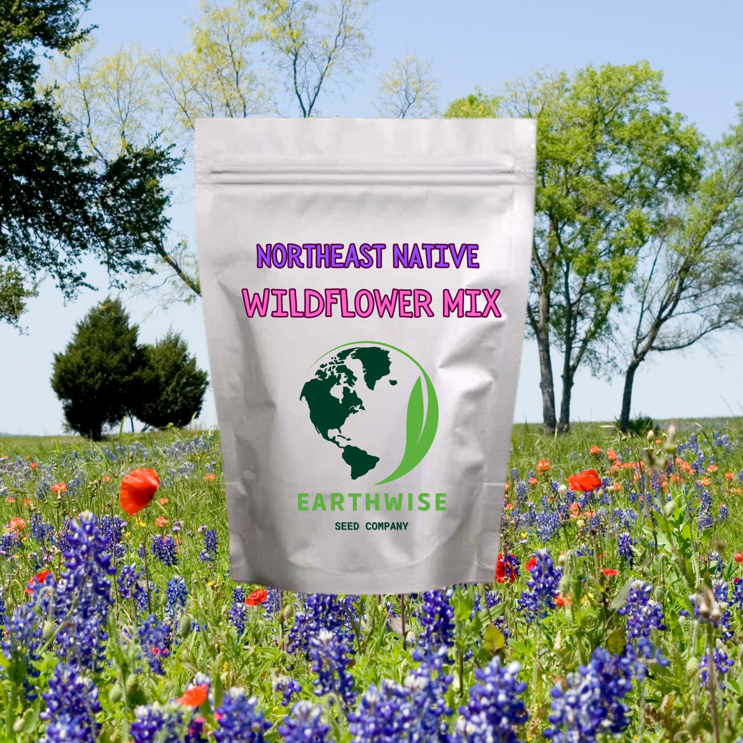 Northeast Native Wildflower Mix