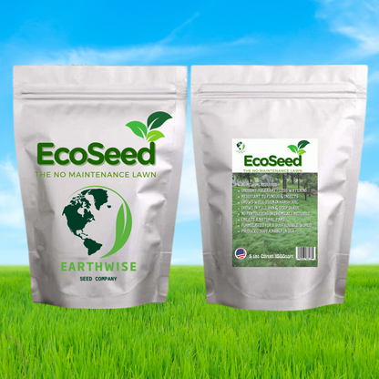 EcoSeed - The No Maintenance Lawn
