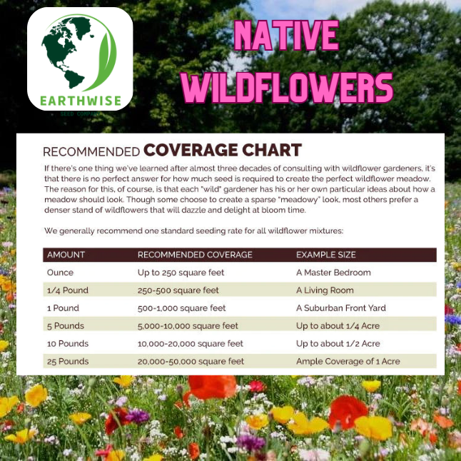Northeast Native Wildflower Mix