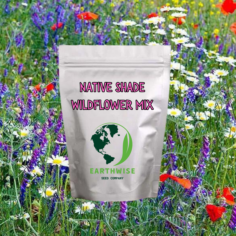 Shady Native Wildflower Mix – Earthwise Seed